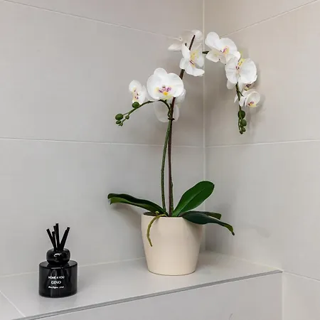 Center Kentmanni Lux Apartment, Free Parking Lejlighed Tallinn